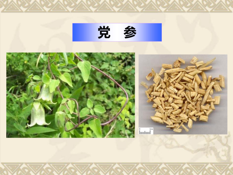 中药学PPT补虚药PPT