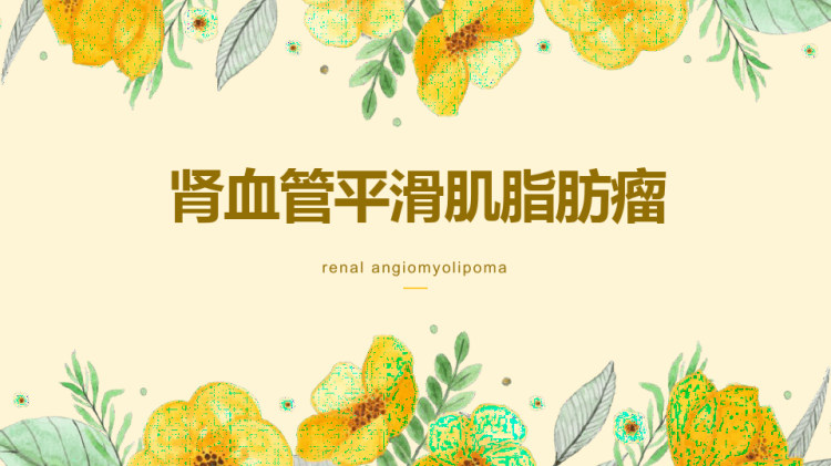 肾血管平滑肌脂肪瘤影像诊断PPT课件