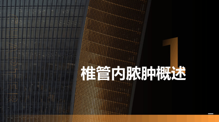 椎管内脓肿的护理PPT