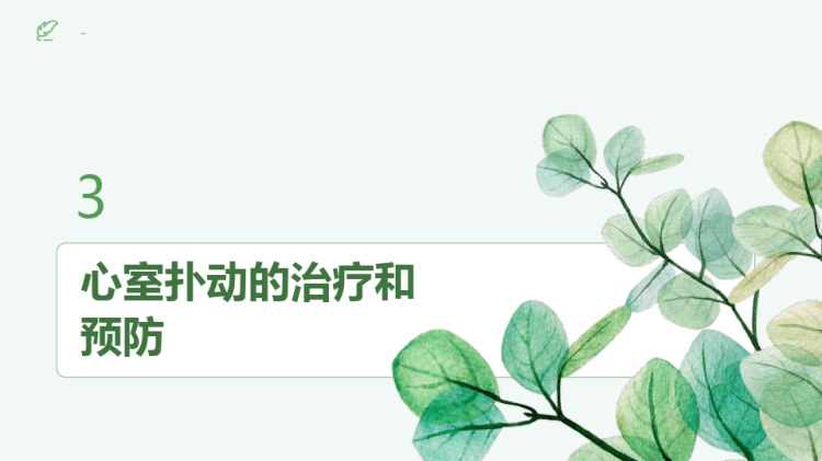 心室扑动的健康宣教PPT